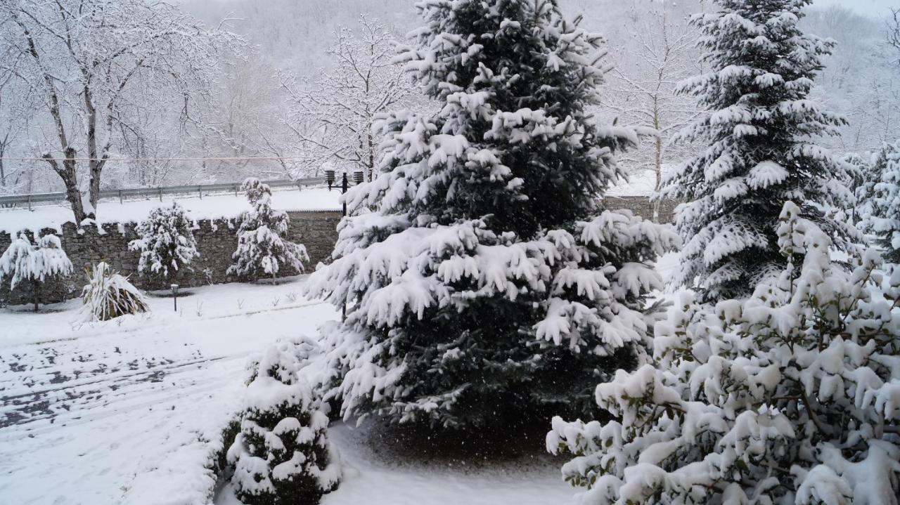 Gabala Yeddi Gozel Hotel Екстериор снимка